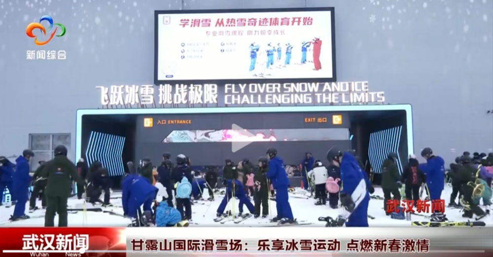 他们迅速做